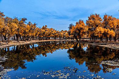 信守承诺！《归家异途2》宣布将于2022年2月推出正式版